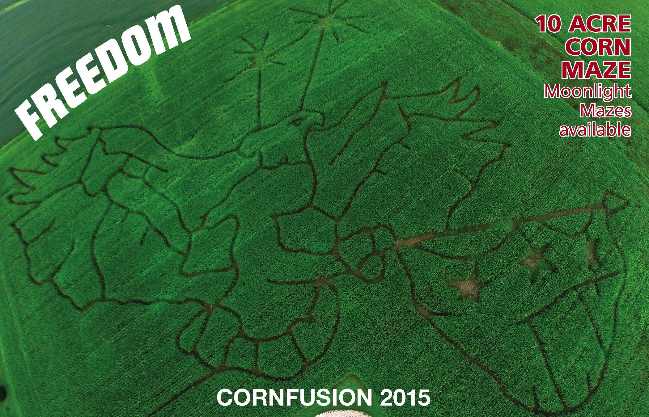 Snowflake maze for 2012