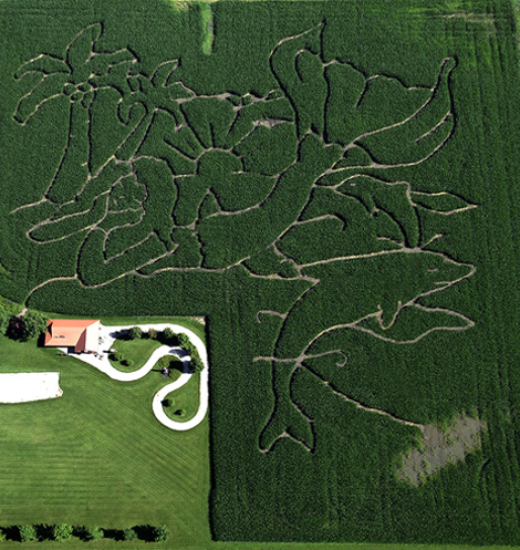 Under the Sea Corn Maze 2020
