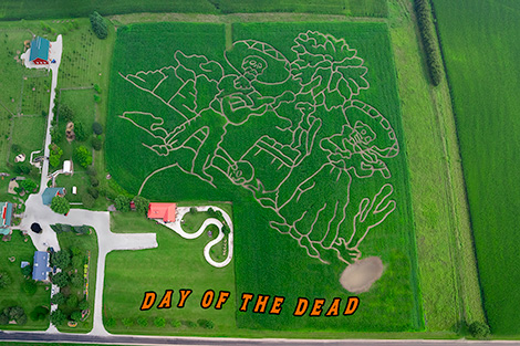Under the Sea Corn Maze 2020